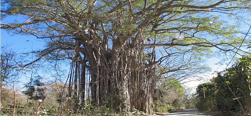 Cabo Blanco Park Area