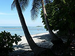 Playa Cabuya Cabuya Beach